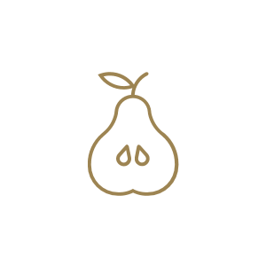 Webdesigner logo