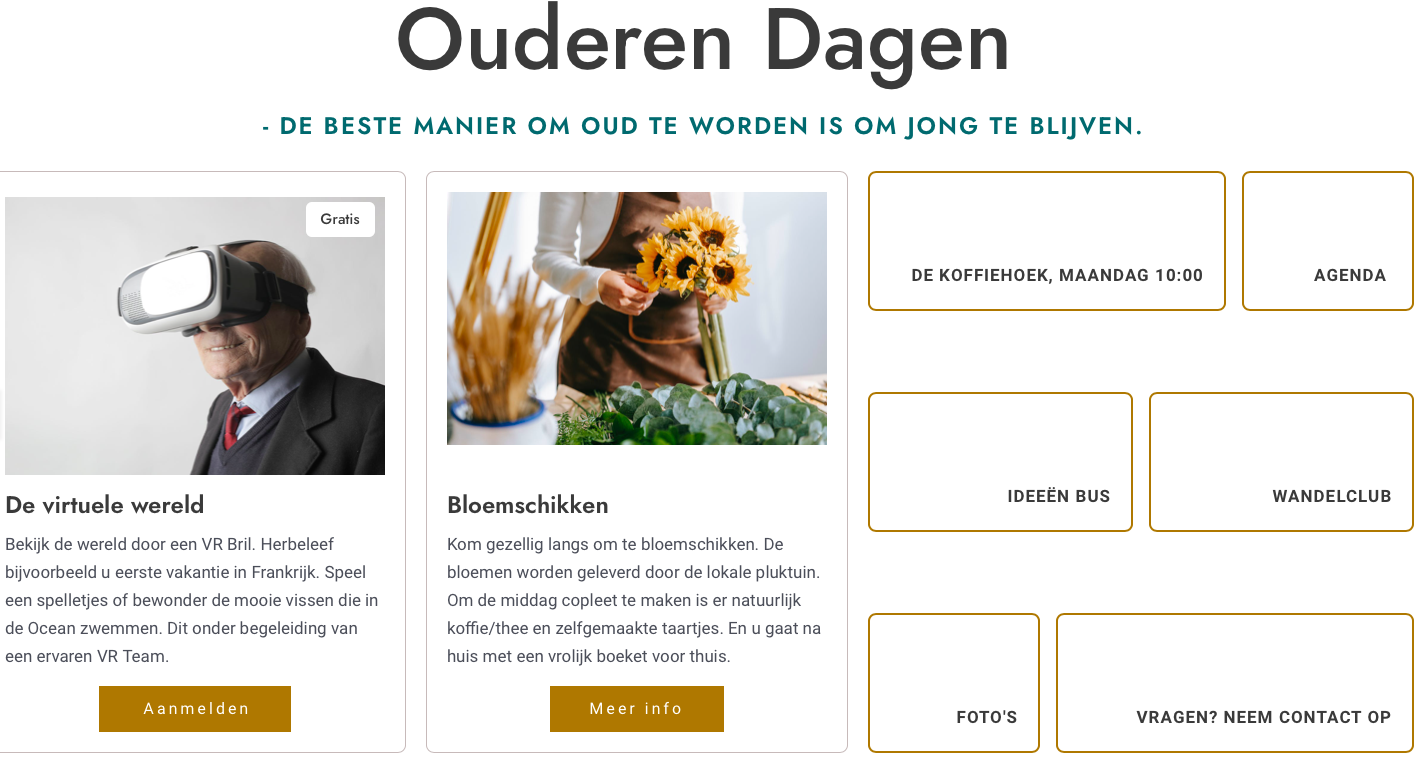 Ontwerp Webdesign digitalpeer